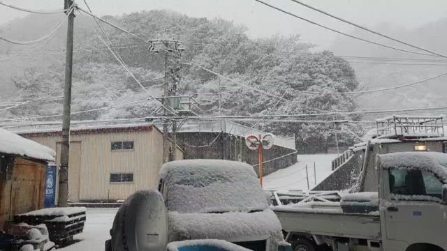 耐えています20250206の記事動画