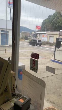 わ、イノシシの記事動画