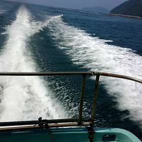 つばさレッコー！の画像