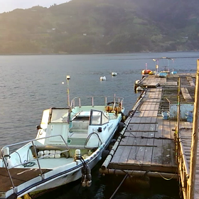 キツネの嫁入りの画像