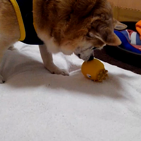 ハッピーバースデー　part２の画像