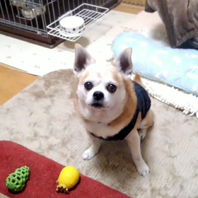 エンドレス…の画像