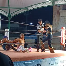 栃木プロレスの画像
