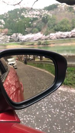 ”本質を思い出す”の記事動画