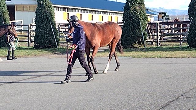 ウインファビラス24は動きがまた良い。の記事動画