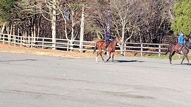 ウインファビラス24は動きがまた良い。の記事動画