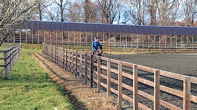 次は右回り。の記事動画
