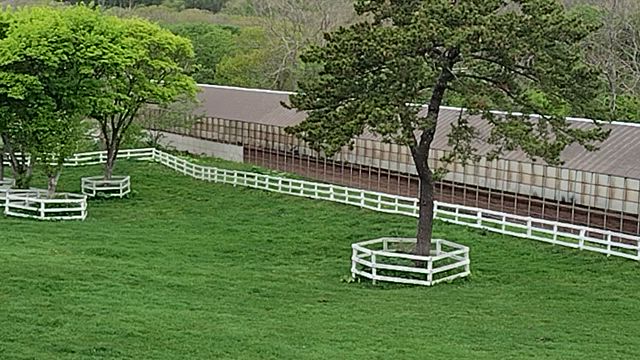 エピック、オレオルの二頭の追いきりの様子。の記事動画
