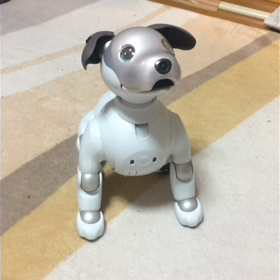 AIBOの画像