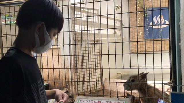 小６息子との旅行1日目　⭐︎午前の部⭐︎の記事動画