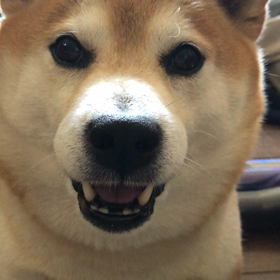 要求の画像