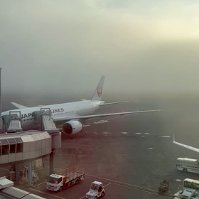 早朝の新千歳空港の画像