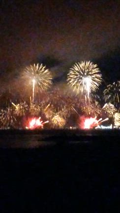 昨夜の花火の記事動画