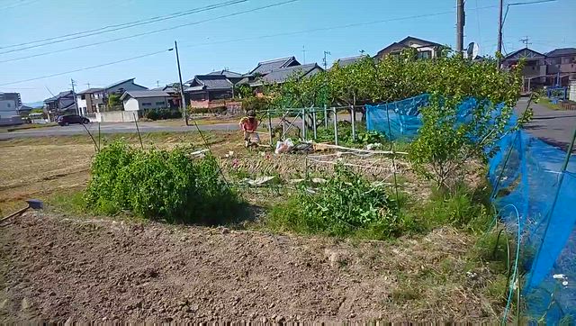 姉は多くの人たちを使い捨てにしているの記事動画