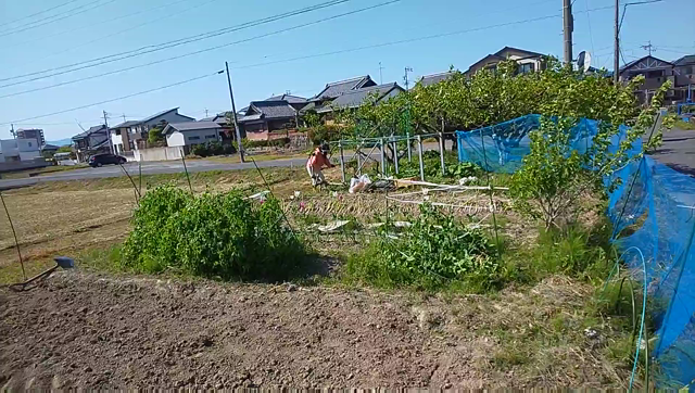 奇妙な事故　やはり姉が仕組んだ詐欺かの記事動画