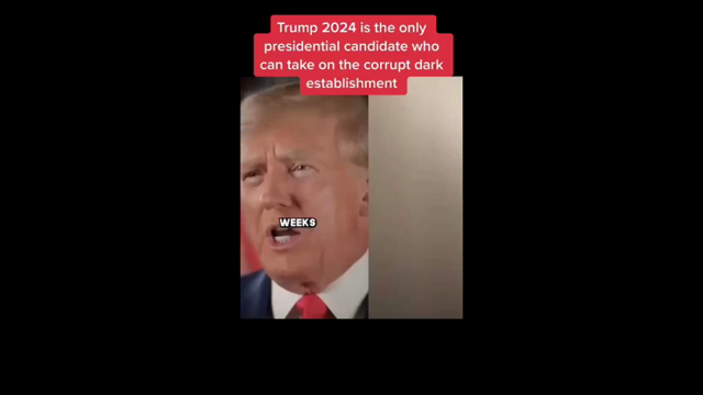 新月の日に送った公式ライン公開します♬の記事動画