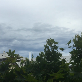 台風の画像