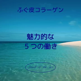 ふぐ皮コラーゲンって凄いの画像