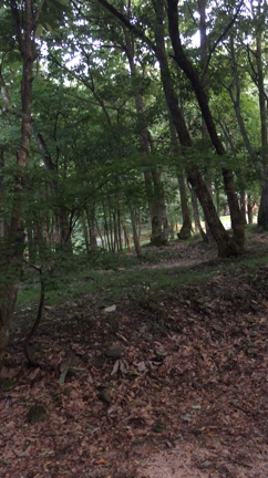 キャンプin奥琵琶湖の記事動画