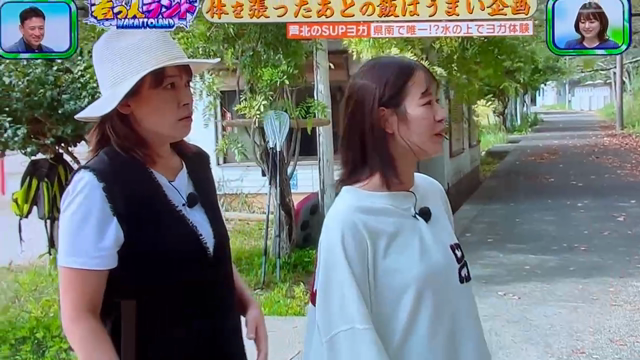 若っとランド2の記事動画