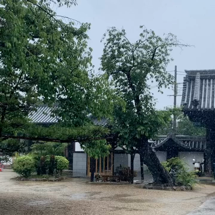 雨音は心を癒してくれます。の記事動画