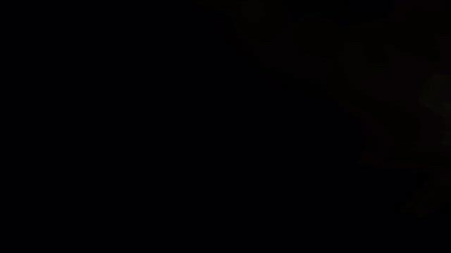 綿毛からの記事動画