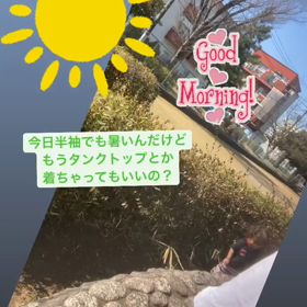 夏！の画像