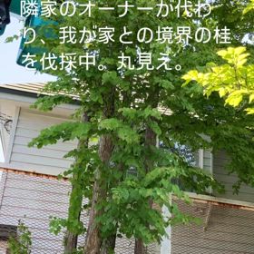 裸になったようなの画像