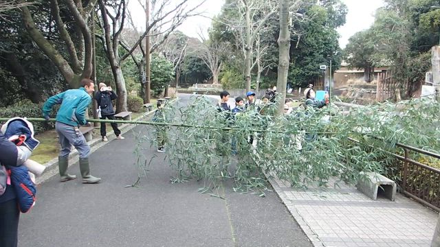 3/13フリースクール自然のがっこう「一日動物園飼育係になろうぜ！の巻」@やまだようじ自然塾の記事動画