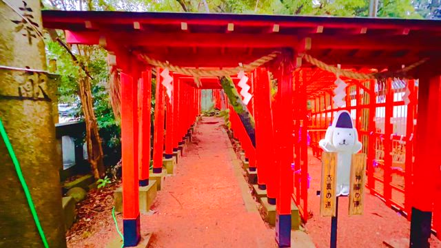 OhaYOKAN☔️（12/18）の記事動画