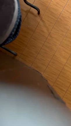 まほはどこ？の記事動画