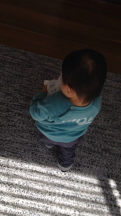 息子1歳5ヶ月。掃除上手への道。の記事動画