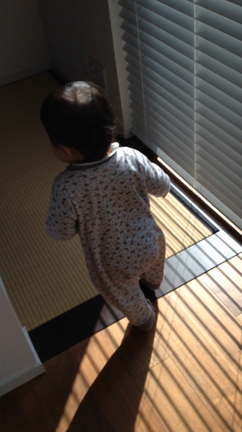 息子1歳5ヶ月。整理収納上手への道。の記事動画