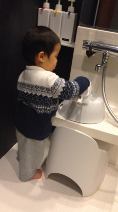 息子1歳5カ月。掃除上手への道。の記事動画