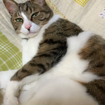 明日退院♫と思っていたらナント！帰れない⁉️の記事動画