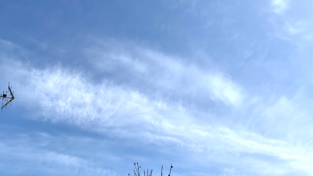 自分を好きになるためにの記事動画