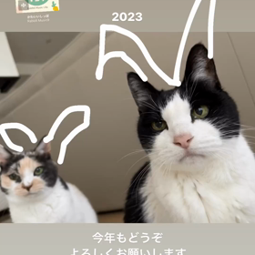 今年もよろしくお願いします❣️の画像