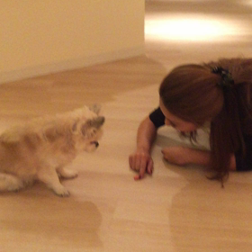 とんちゃん おやつタイムの画像