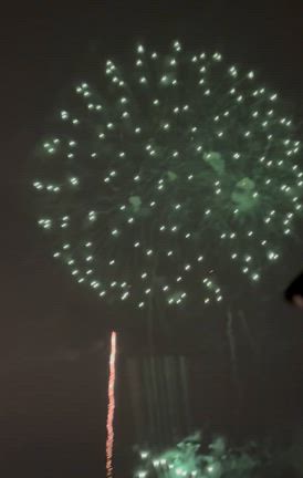 車窓からの花火鑑賞！の記事動画