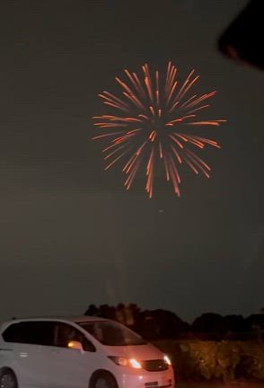 車窓からの花火鑑賞！の記事動画