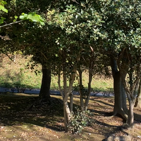 2020/11/05の画像