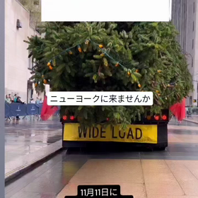 11月11日にはマンハッタンのロックフェラーのクリスマスツリーがの画像