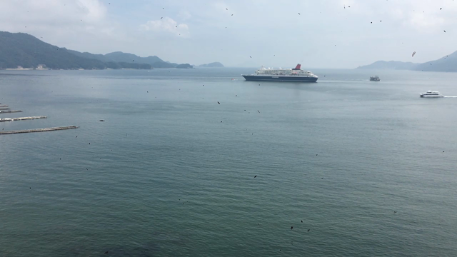 一人でお留守番 。。。の記事動画
