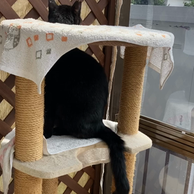 今日も探索の画像