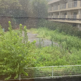 凄い雨！スコールの画像