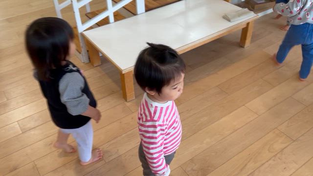 カモミール　室内活動の様子♪の記事動画