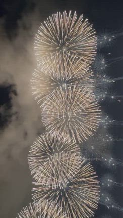 長岡花火大会の記事動画