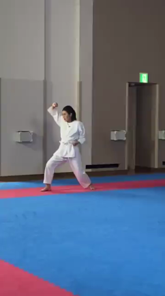 #趣味どきっの記事動画