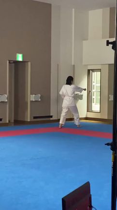 趣味どきっの記事動画
