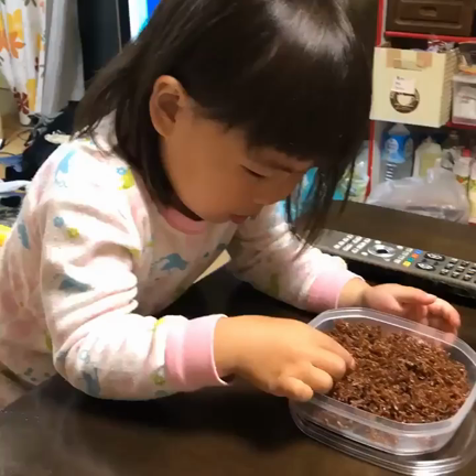 お客様の早送り動画の記事動画